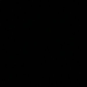 Meet your Posher, Lily